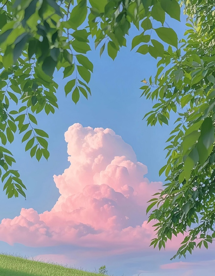 🌸 “小烟火，小欲望，小满足，就是大幸福” 