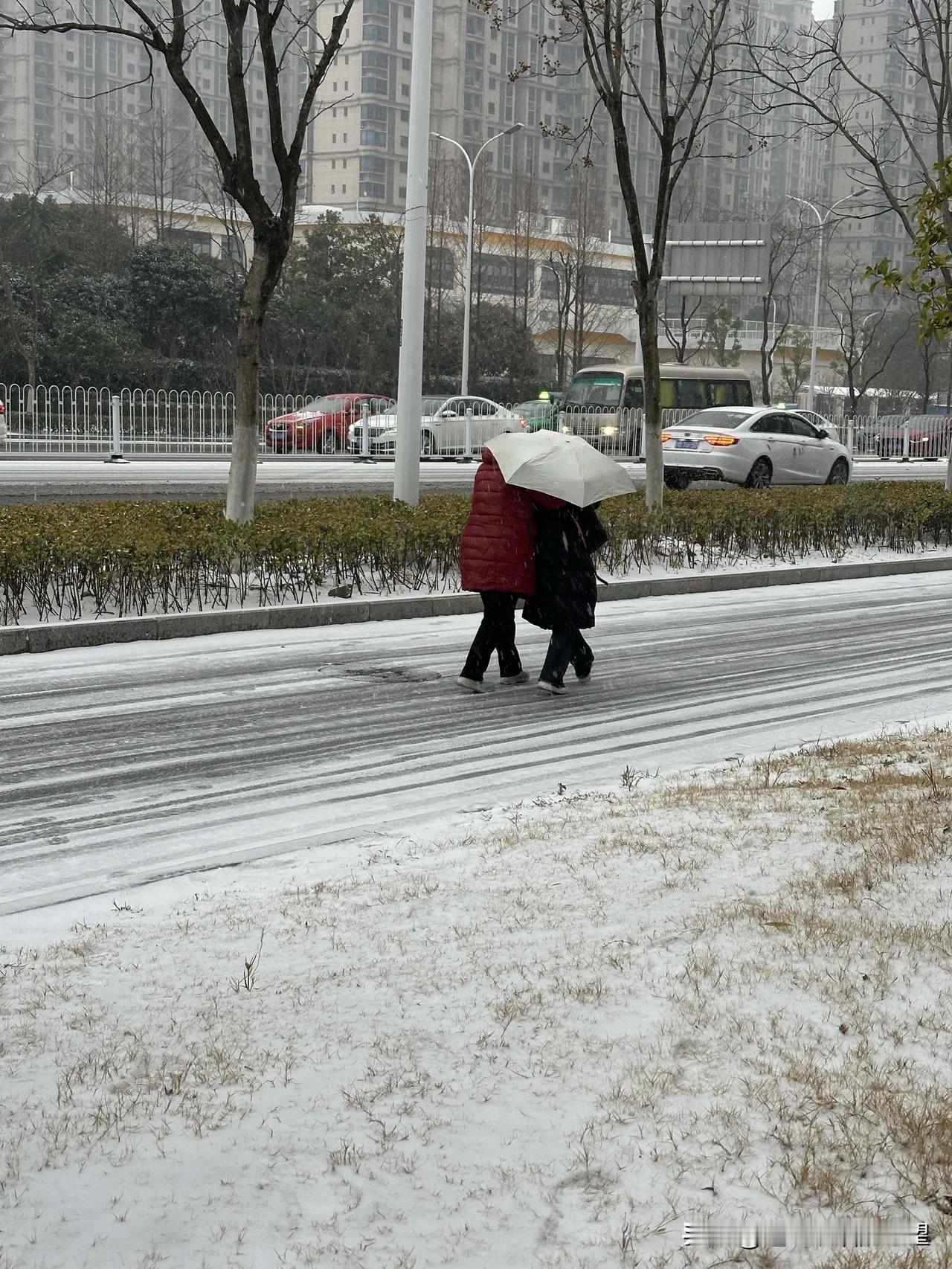 下雪了，天寒地冻！
我的城市下雪了，早上在等公交车。天空下着雪，地面结了冰。路上