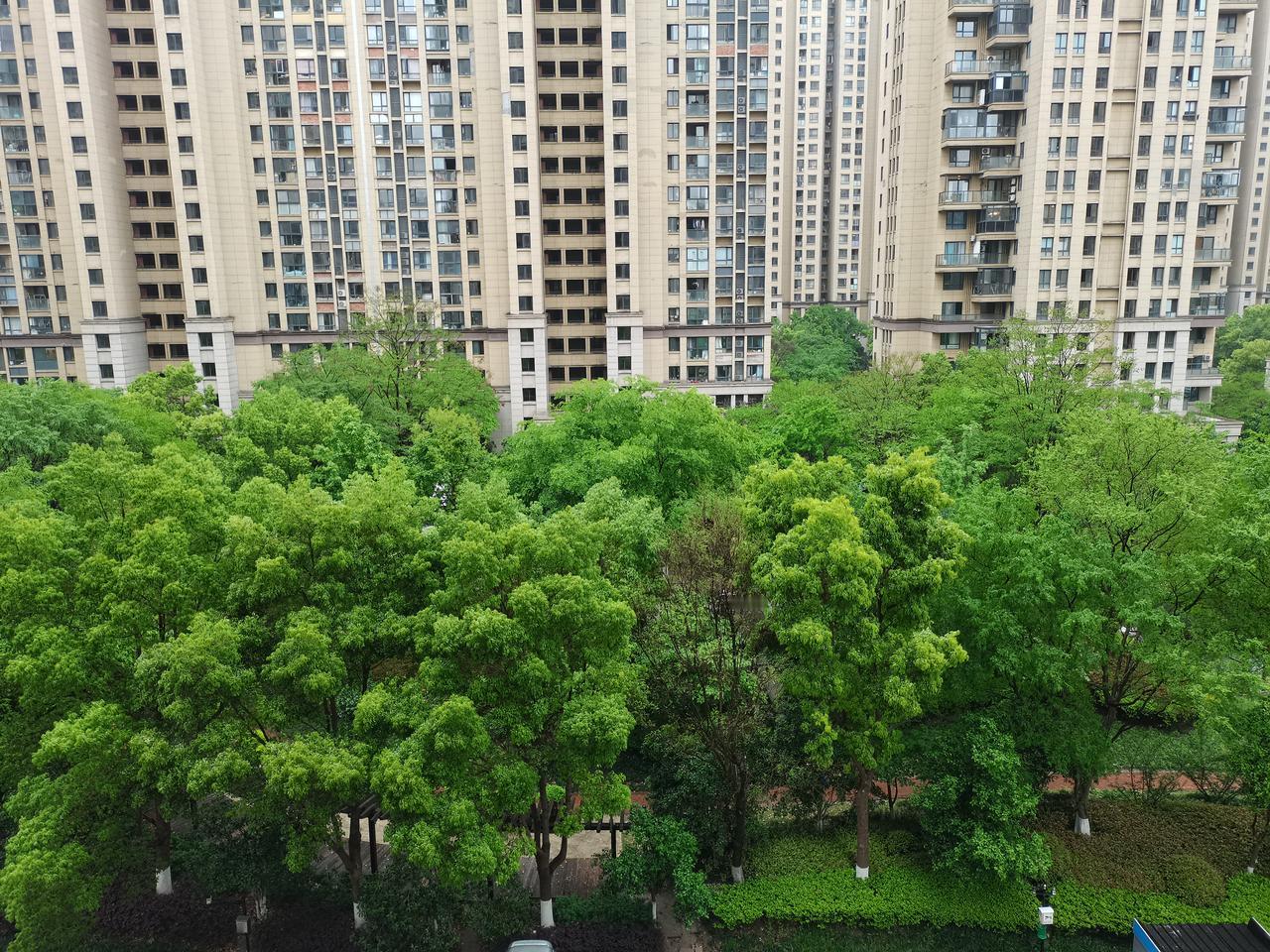 五一抢票大军有多强？
我定好了10点45分的闹钟，
到点了点进去提示我45分开始