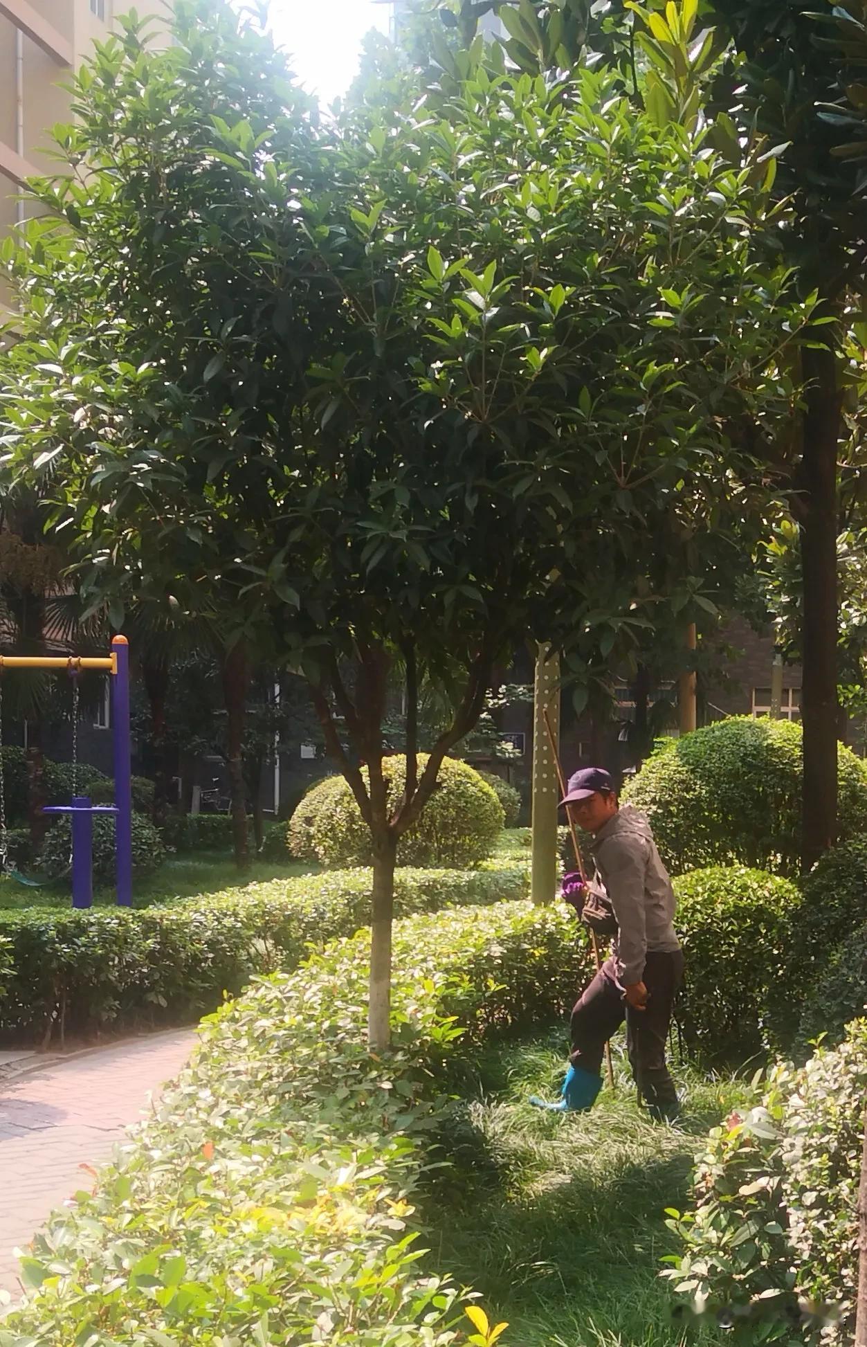  近期，西安曲江龙湖丽景一小区一8岁孩子坠落在小区水井的惨痛教训，引起了各方的关