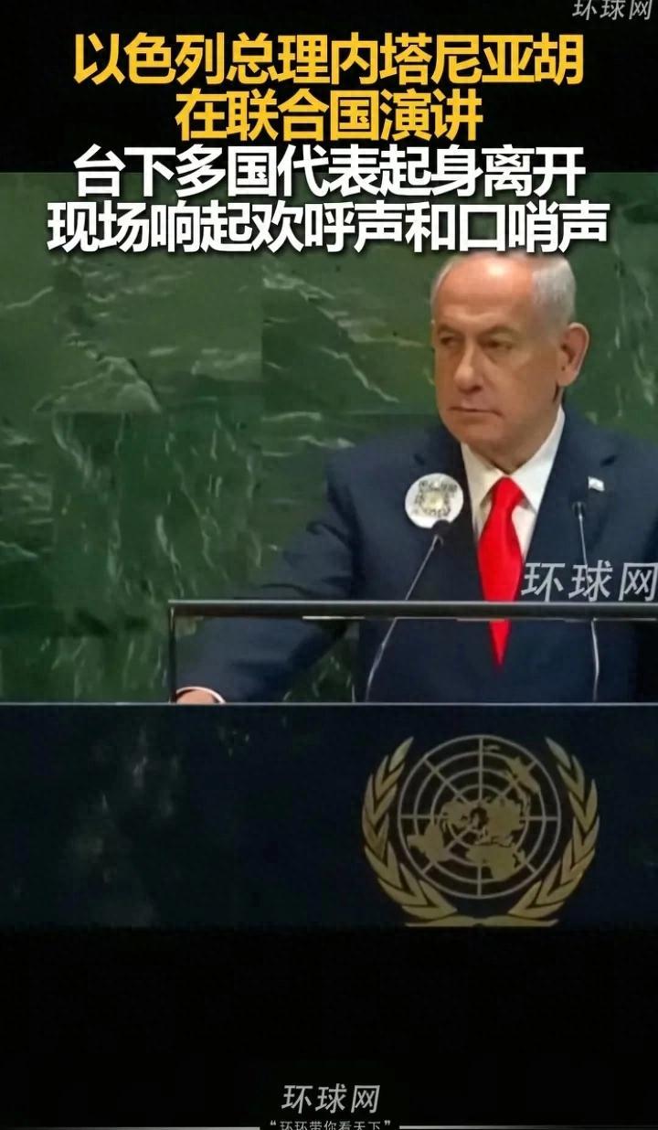 美国脸被扇肿！从前是“打狗看主人”，如今联大直接“打主人给狗看”！

     