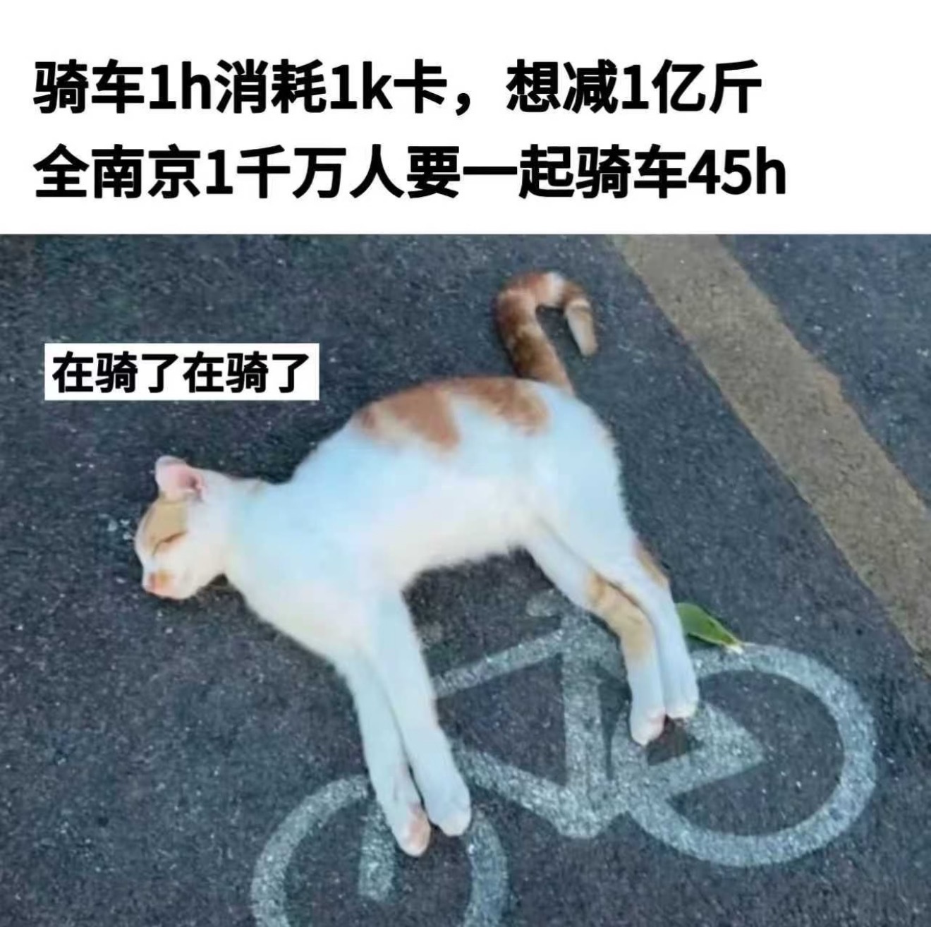 人类减肥1亿斤对火星移民影响有多大网友喊话马斯克火星移民前先减重没想到集体减重一