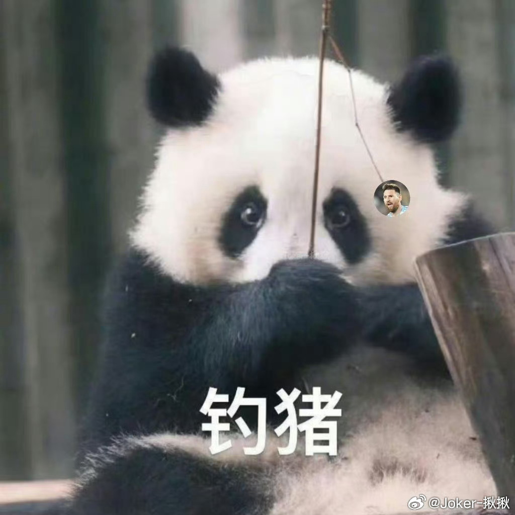 分享图片 