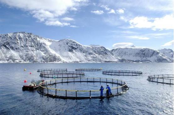 2026年3月18号挪威近海管理局直接放出准信儿，挪威国家石油公司带着合作方，在