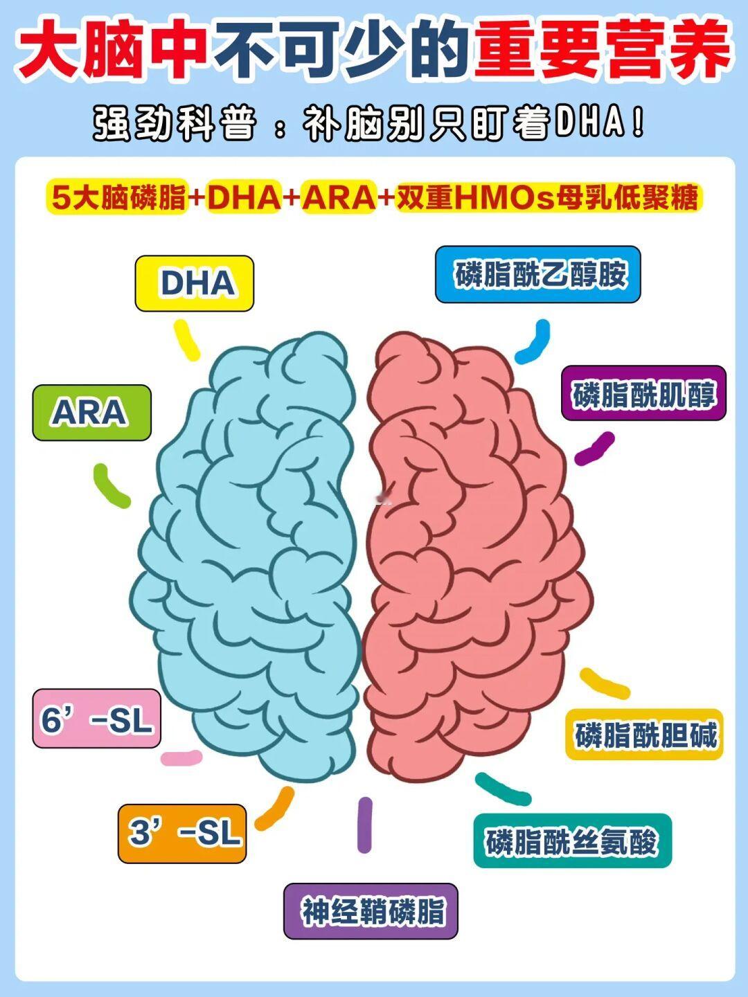 补脑别只看DHA！小脑瓜发育黄金期要补啥