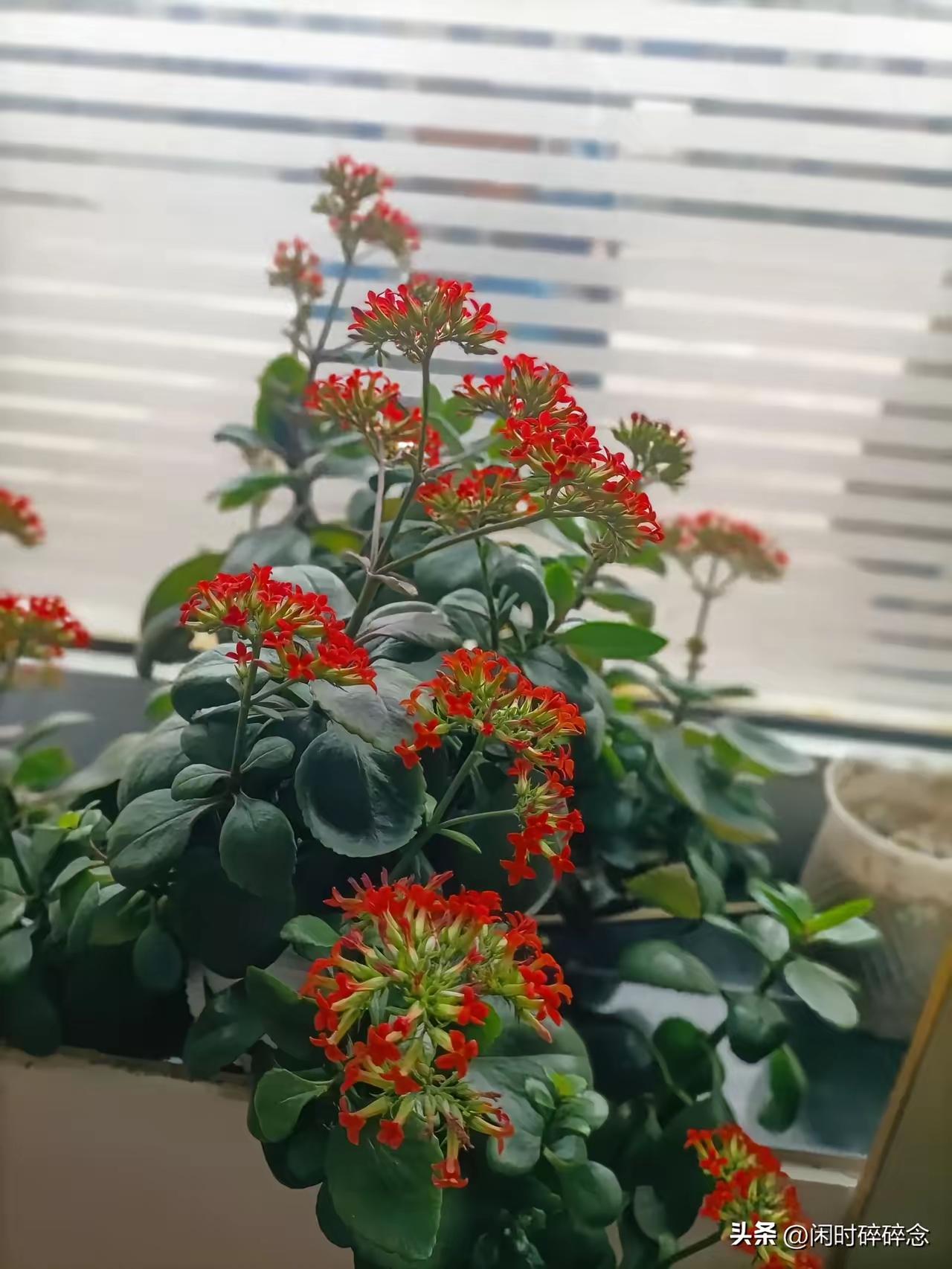 我严格按照你的要求，保留原文第一段，以口语化、有生活细节的风格续写，融入真实人物