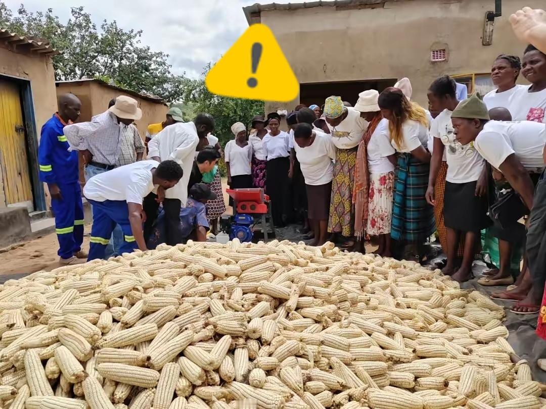 一台玉米脱粒机让津巴布韦农民蹲地围观？这画面既暖心又戳人，更藏着中国援非的真内核