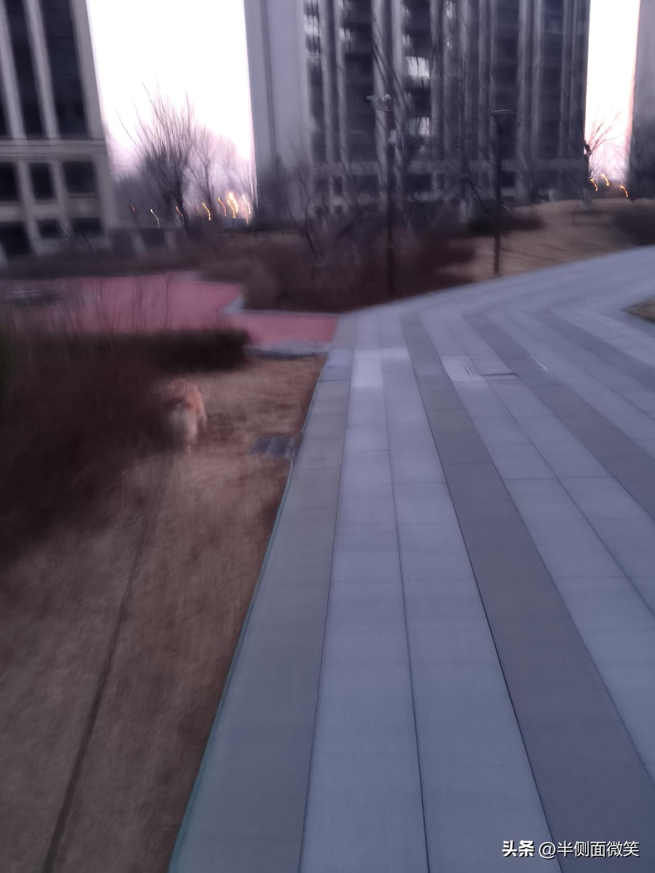 那是小时老爸的爱好