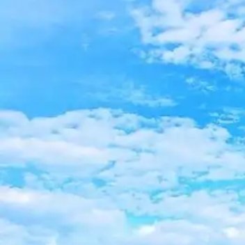 养养 成年人最顶级的清醒，是不再过度共情任何人。以前总心软，见不得别人为难，习惯