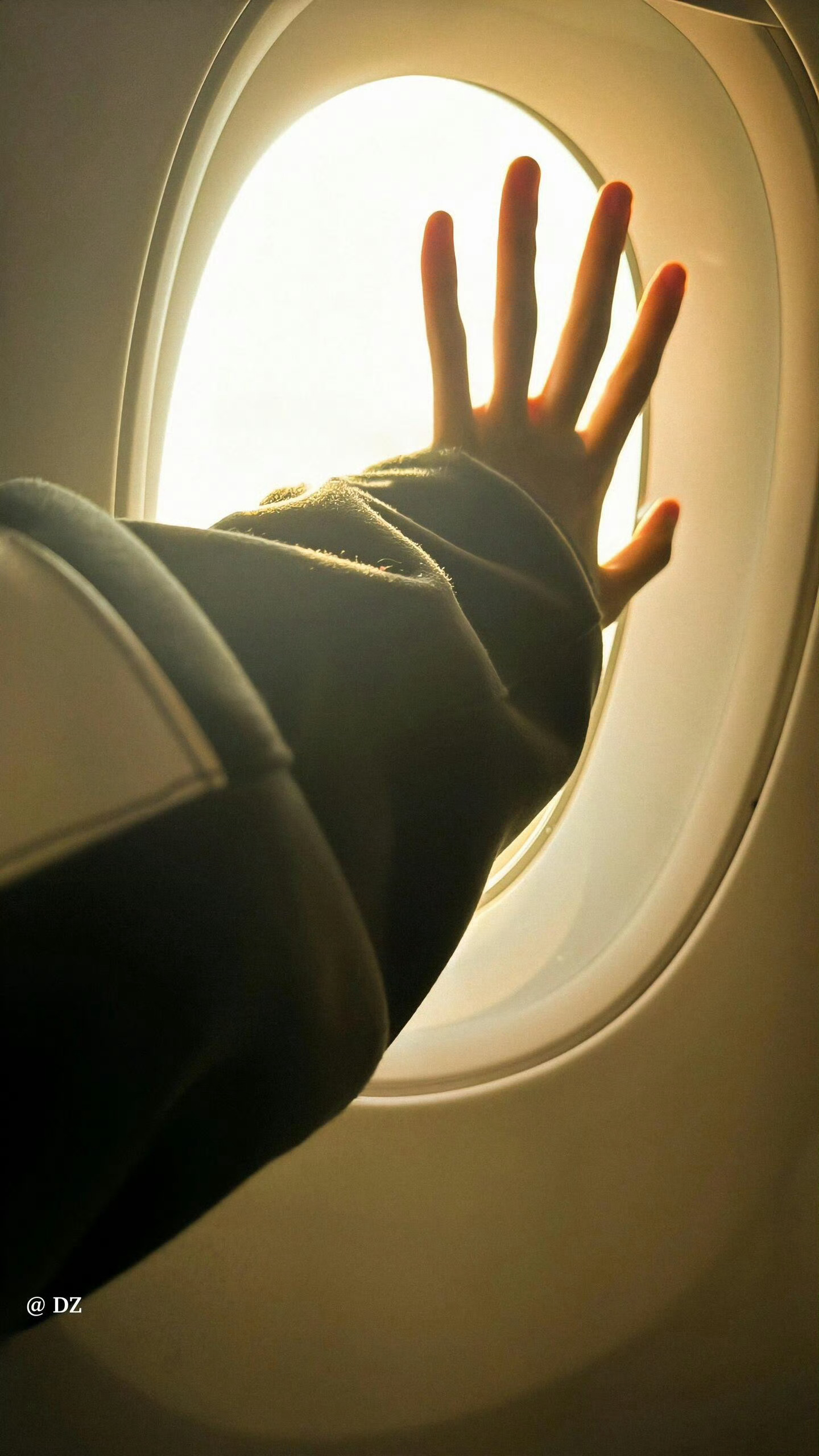 周柯宇的这双手没有不喜欢的义务。。。 