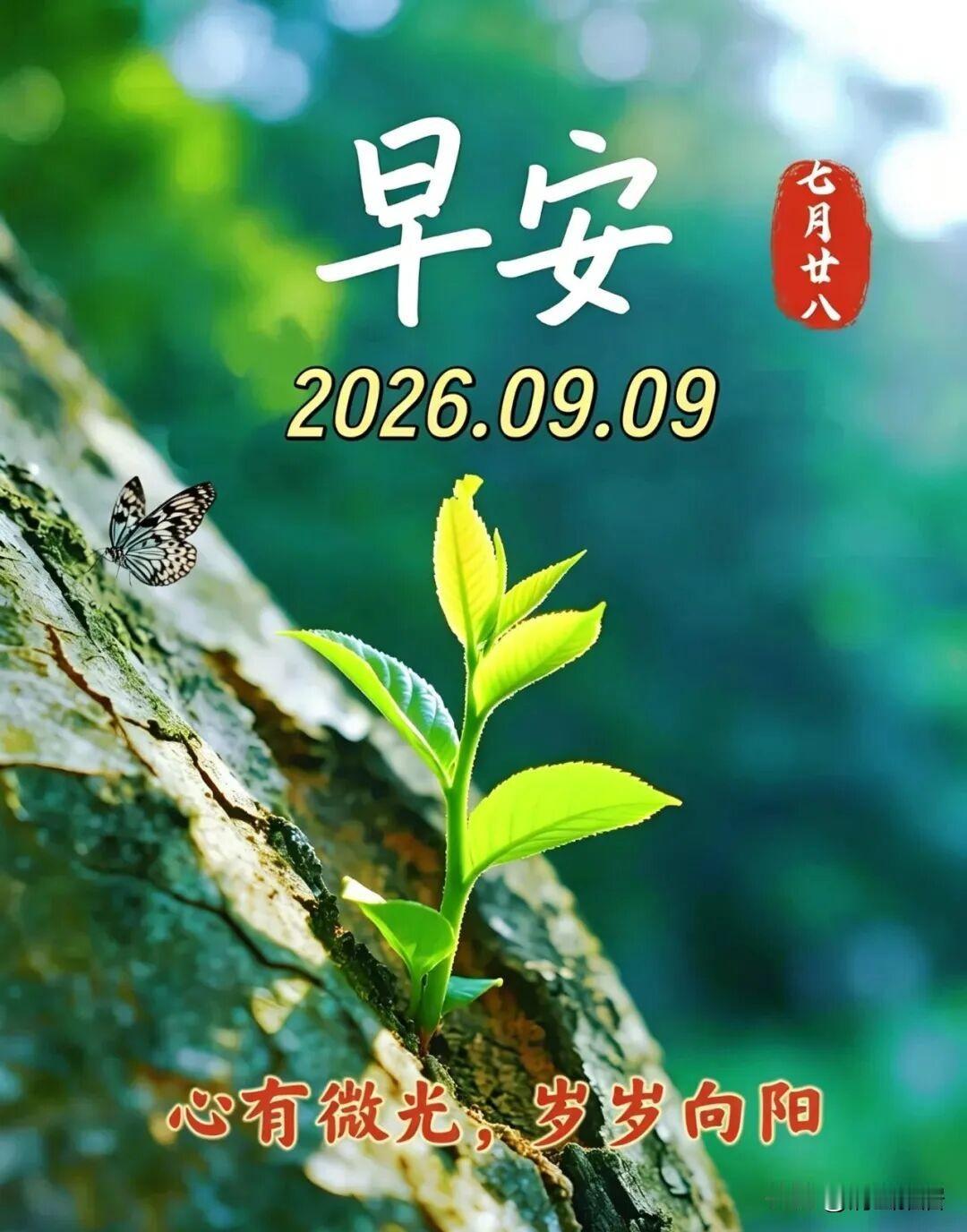 可能有人觉得这是危言耸听，别忘了，日本曾经就是这样做的，一直打到新加坡那边了。如