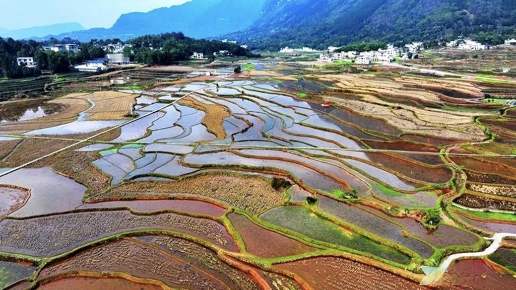 【物质安稳是精神富足的根基，人唯有稳住生活、立足根本，才有底气修身修心、涵养品行