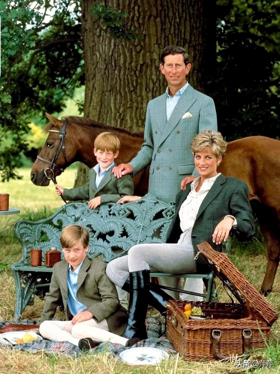 这张戴安娜王妃一家的野餐旧照，满是英伦田园的温情。查尔斯王子与戴妃相伴，威廉和哈