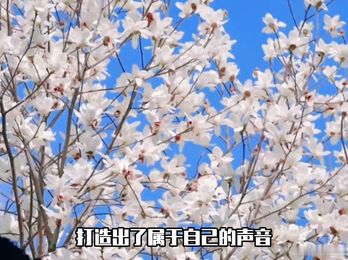 这才是杭州钱塘的正确打开方式年轻人解锁杭州钱塘新面貌年轻人穿梭钱塘老街收集市井细