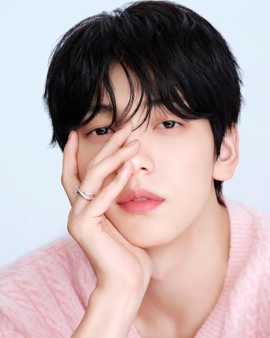 韩国人称崔秀彬为男版裴秀智 