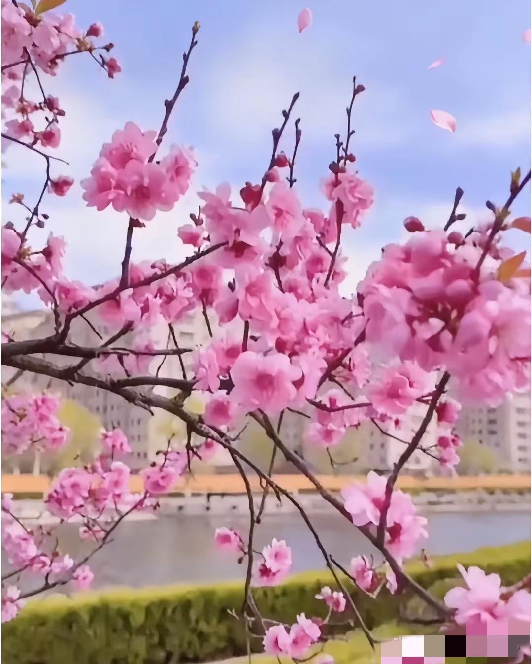 女人想活得健康又舒心，真的别再拼命去管男人了。


你管得越多，心越累，气越多，