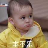 米柿柿热聚科技