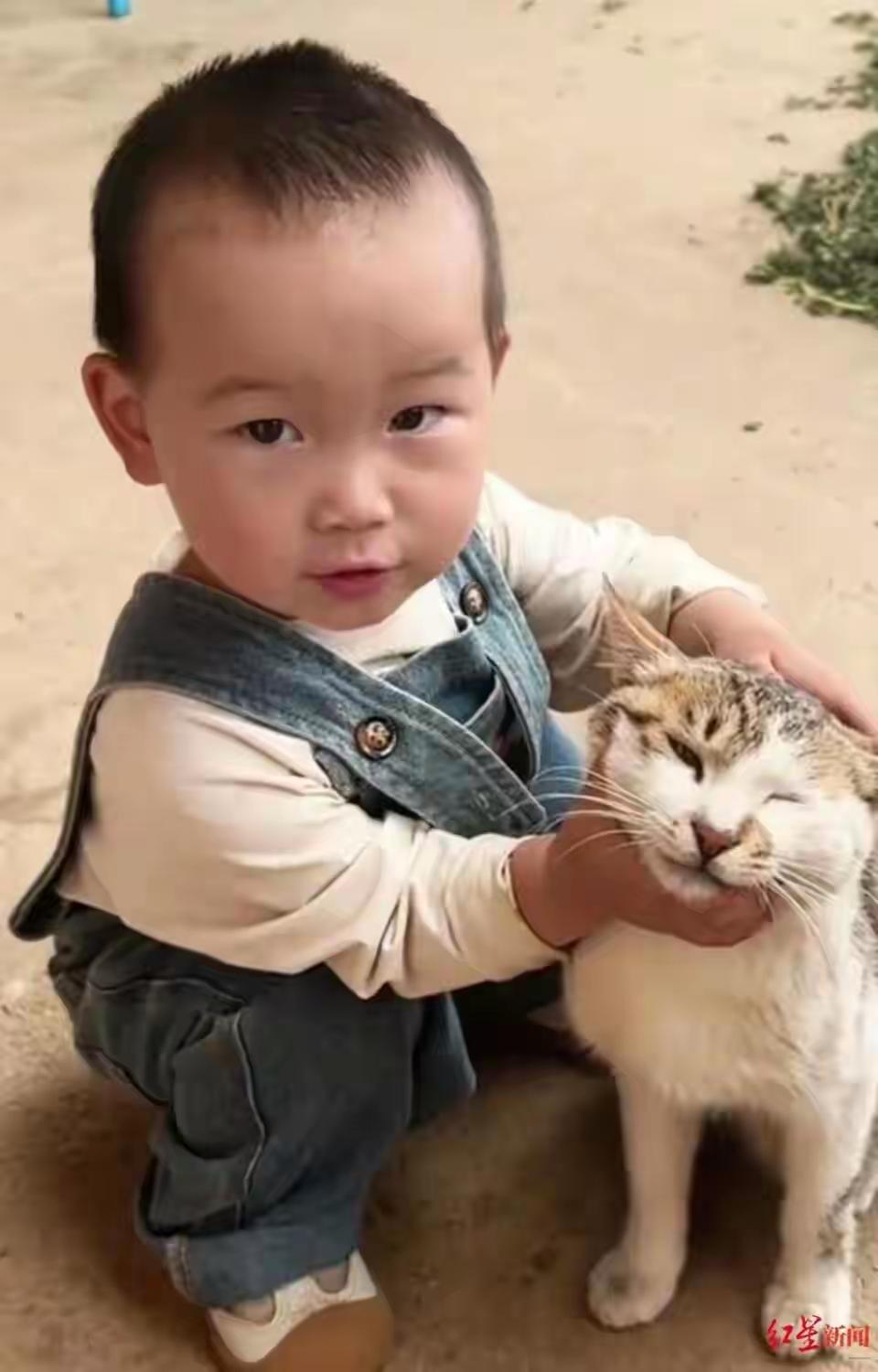 “安全无小事！”四川凉山，2岁女童朵朵家门口晒花椒，跟小猫玩不到十分钟，竟像空气
