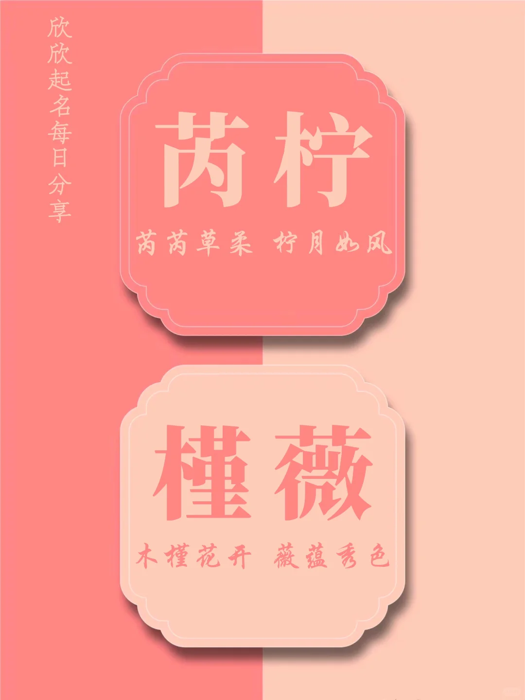 有“🌿”有“🌳”，蛇年最吉祥的女孩名