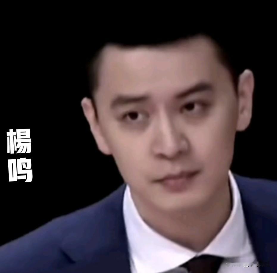 体育圈和娱乐圈公认的四大美男子，他们分别是：
杨鸣（篮球）
王皓（乒乓球）
唐国