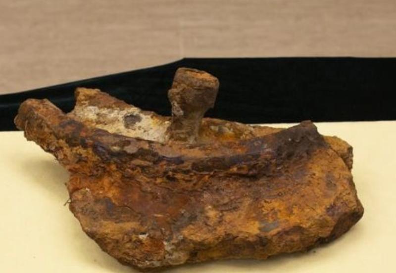甲午海战中著名的定远舰时隔124年终于现身，打捞出的舰上遗物令人感慨万千！
18