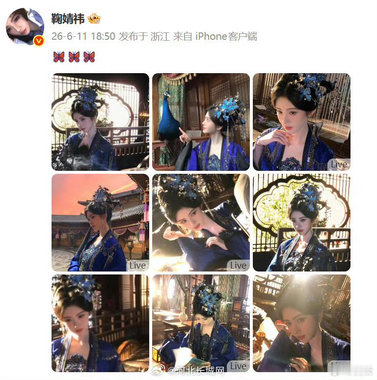 【鞠婧祎蓝衣蝴蝶苏绿夏】6月11日,发布视频并配文：🦋🦋🦋 好美的蝴蝶女士