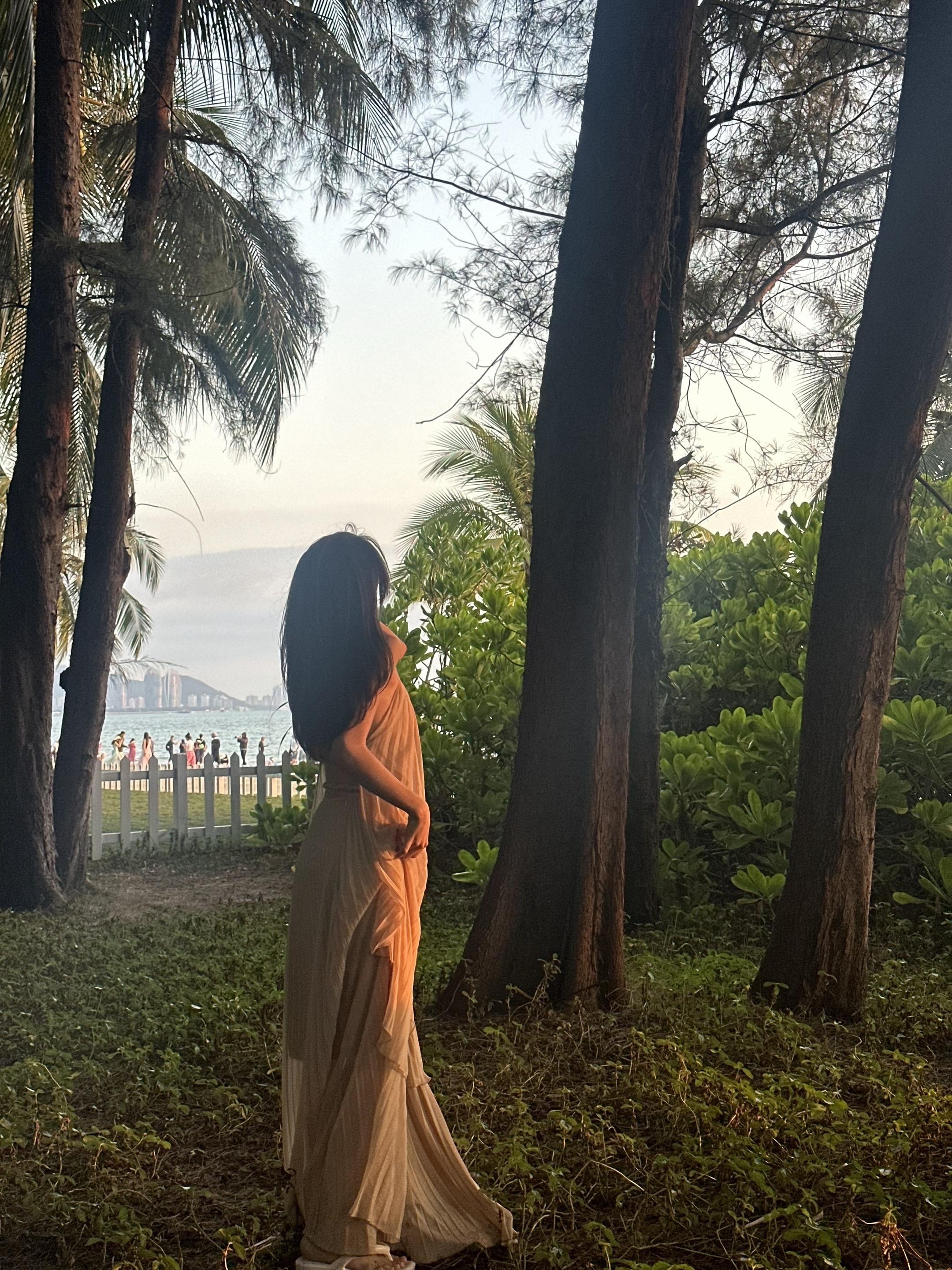 我的灵魂应该是风的形状。