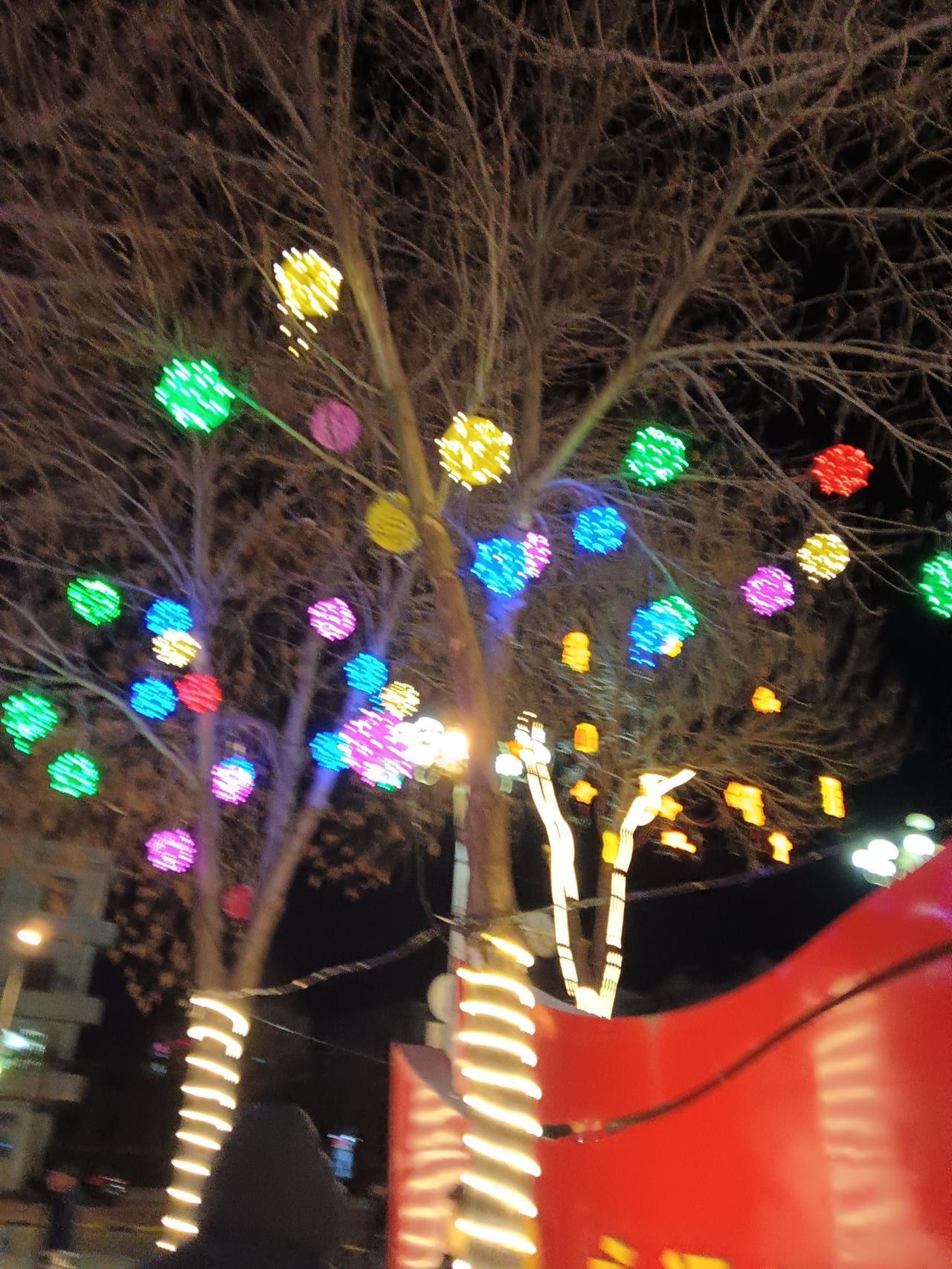 夜晚的灯光秀，绚丽多彩，美不胜收！🌟💡✨树上的灯真漂亮，有着节日的气氛。