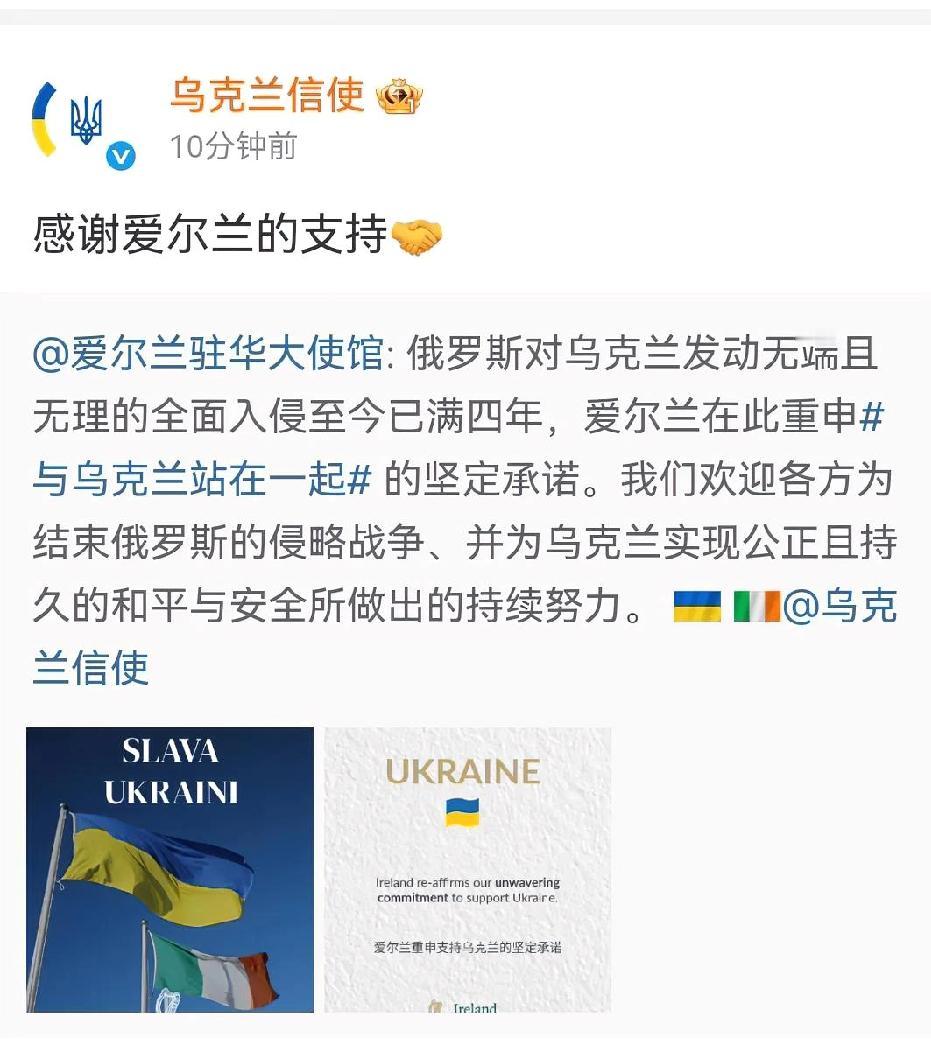 乌克兰信使：爱尔兰