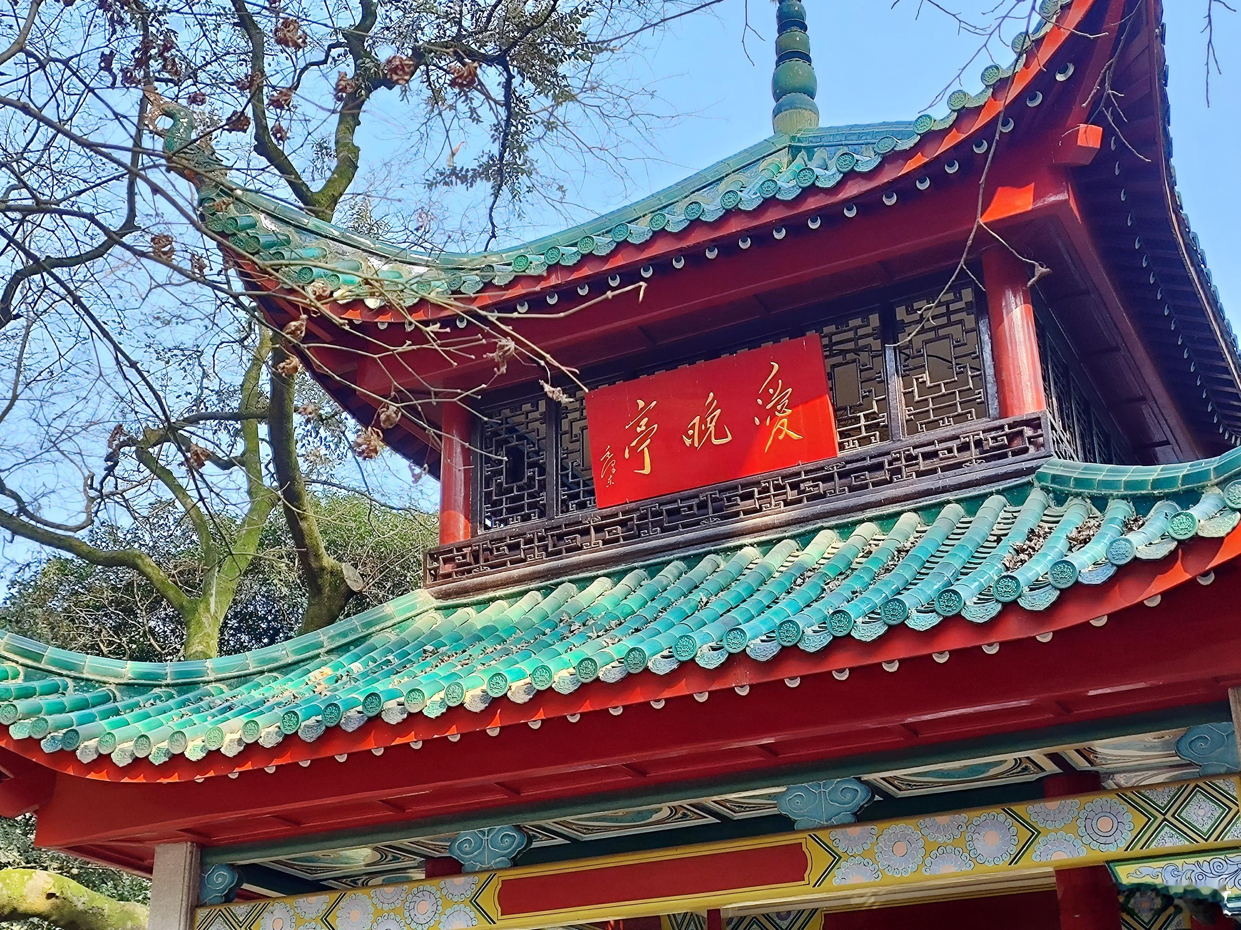 主席的书法，引人神思 ​​​