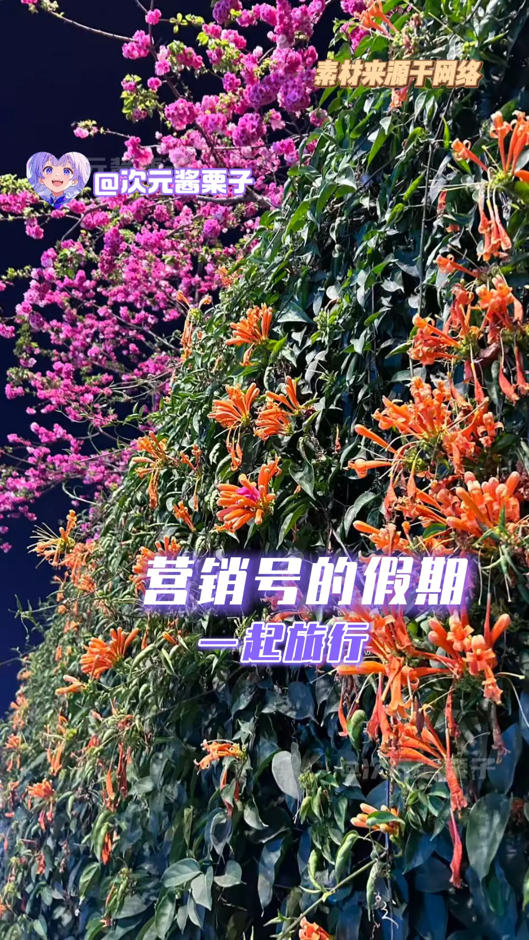 营销号的假期