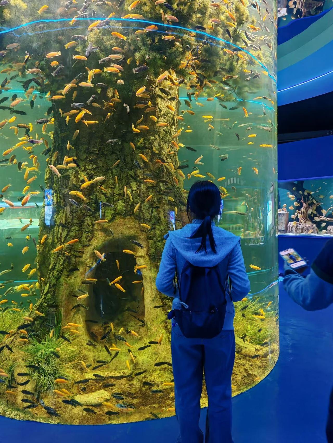 每天陪娃，真不是单纯守着就行。以前我也是“表面陪玩”，娃喊我陪，我嘴上应着，眼睛