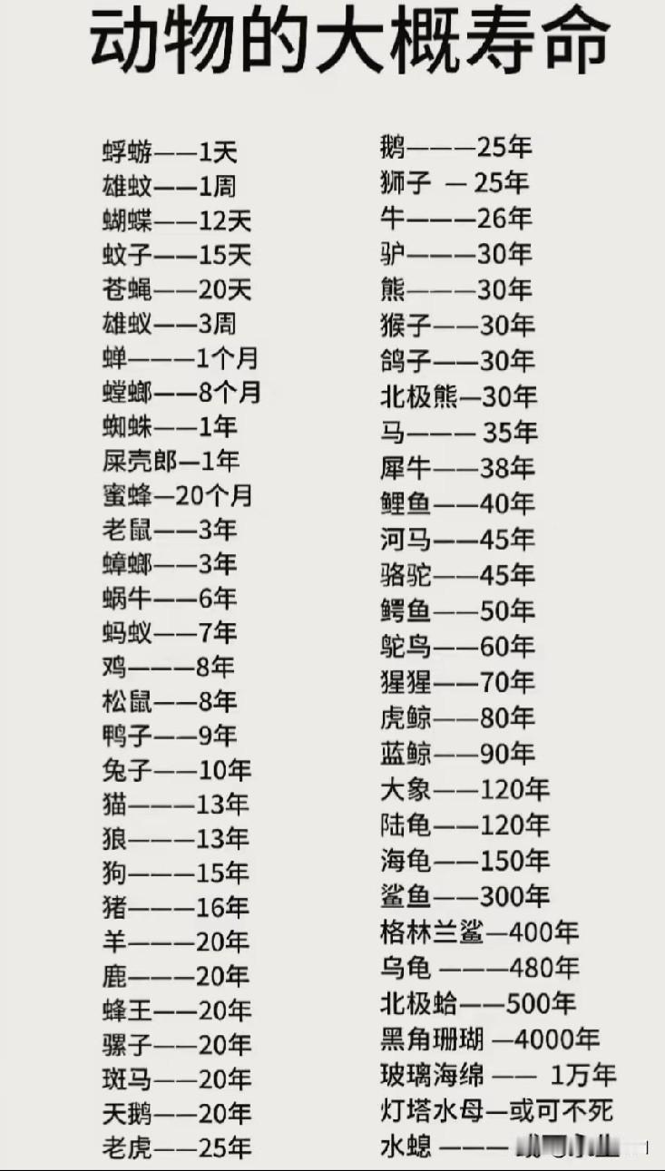 看到这张动物平均寿命图，真挺长见识。都说乌龟长寿，不过得看种类。像常见的草龟，平
