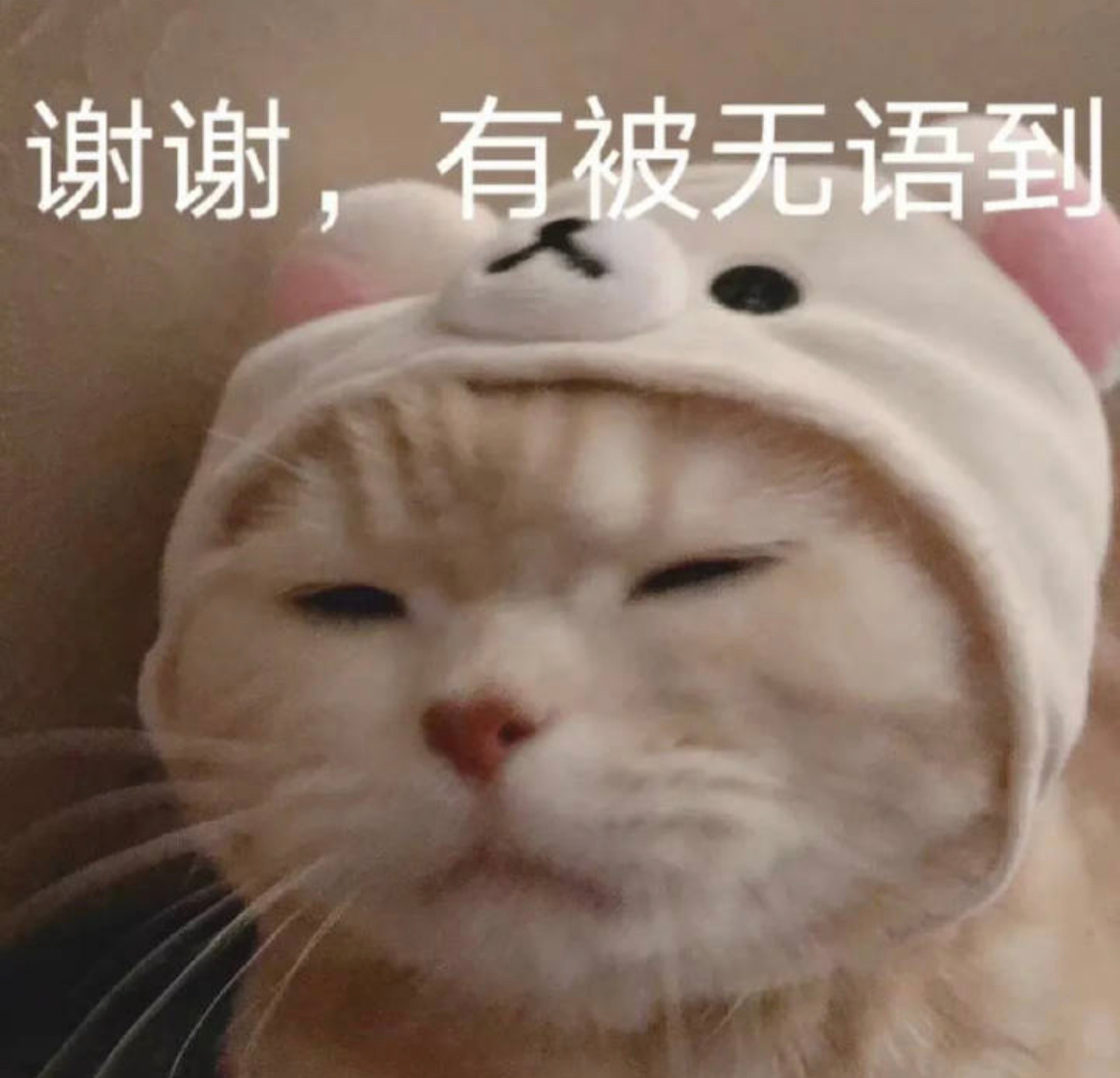 全世界现在最关心我什么时候开学的就是我爹。我爸昨天晚上问我你在学校是不是惹事了。