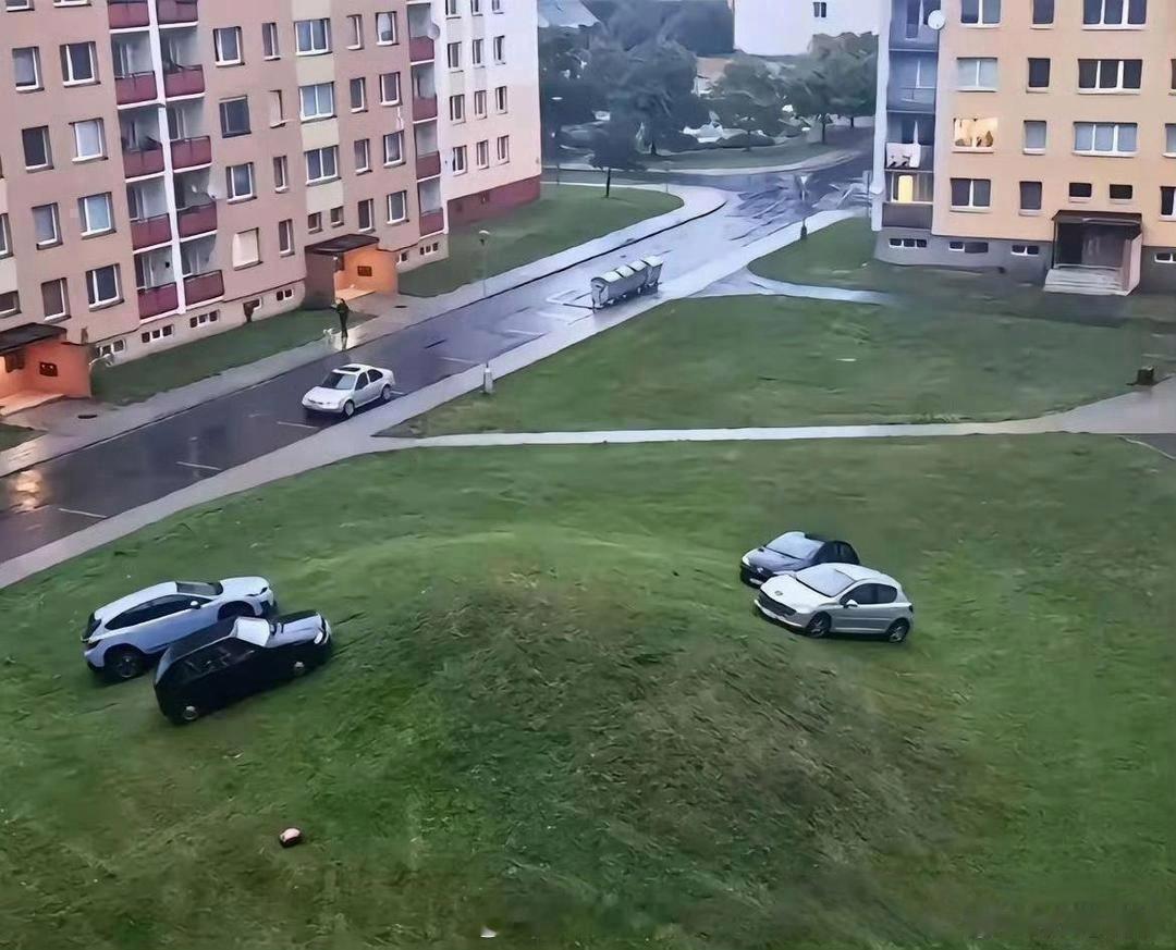 每个小区，都有几个大聪明。 