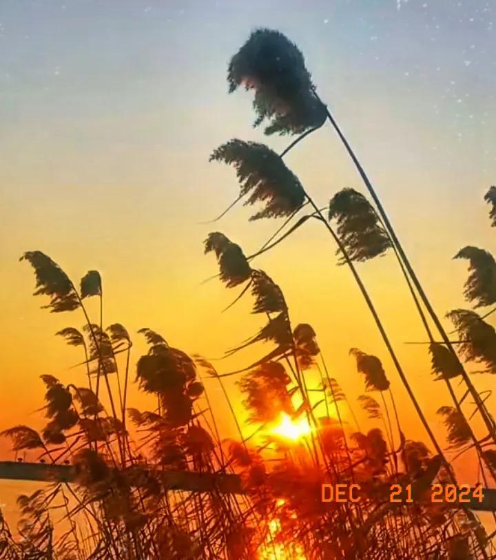 上联:月落西山大地暗
下联:日出东方大地明