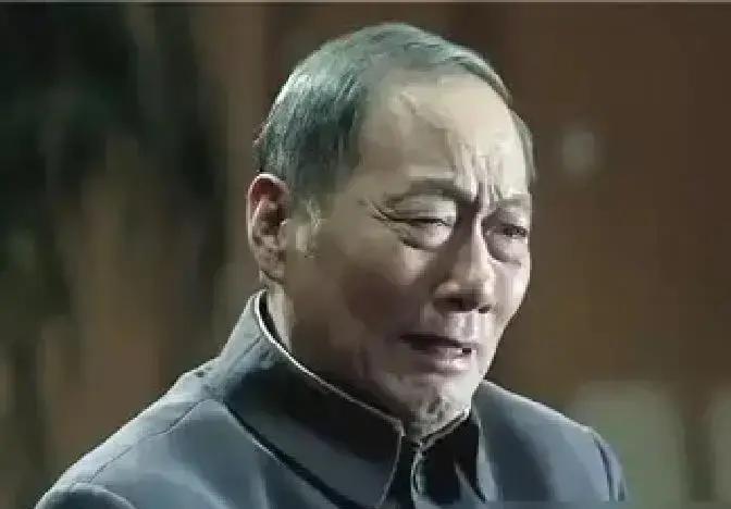 看完大结局我整个人都不好了。

老革命陈岩石带着一身勋章去谈判，想用脸面和情怀给