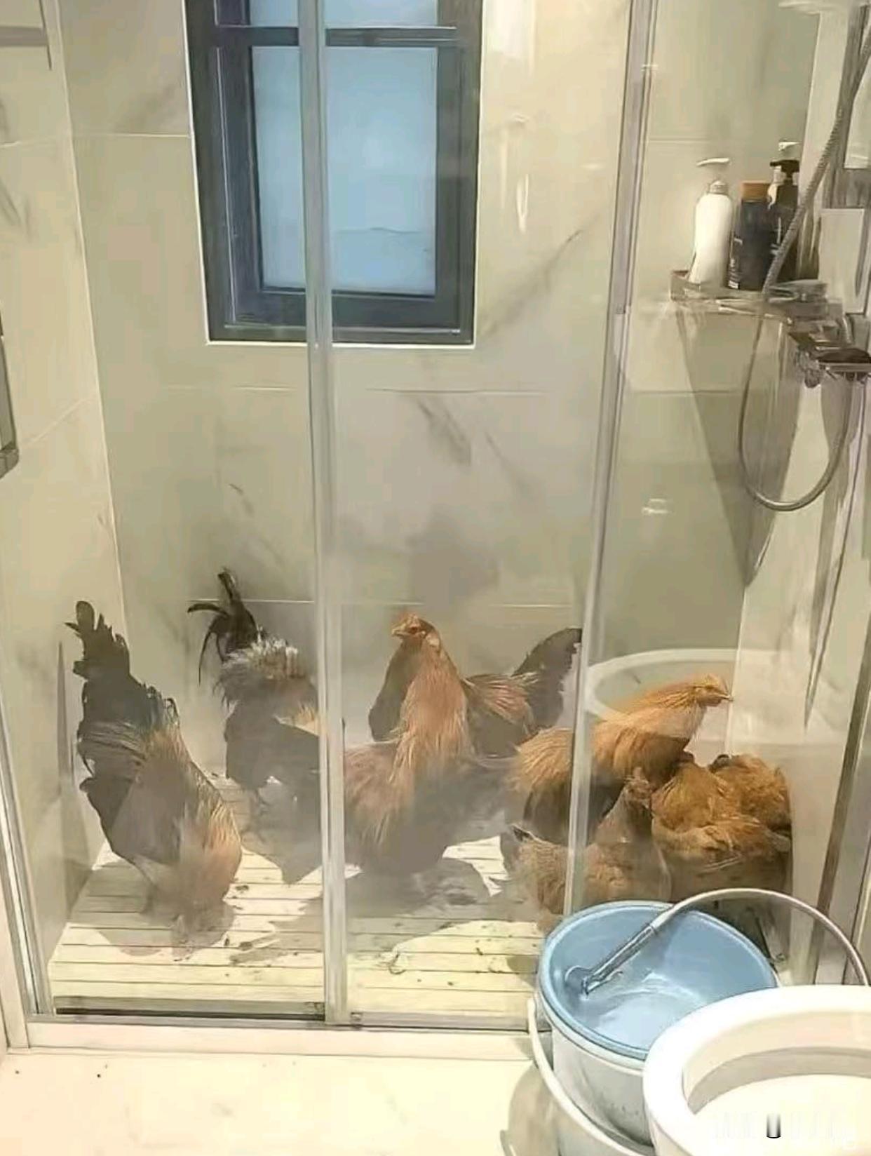 台风来了，还是沿海响应的快储存粮食都已经准备好了