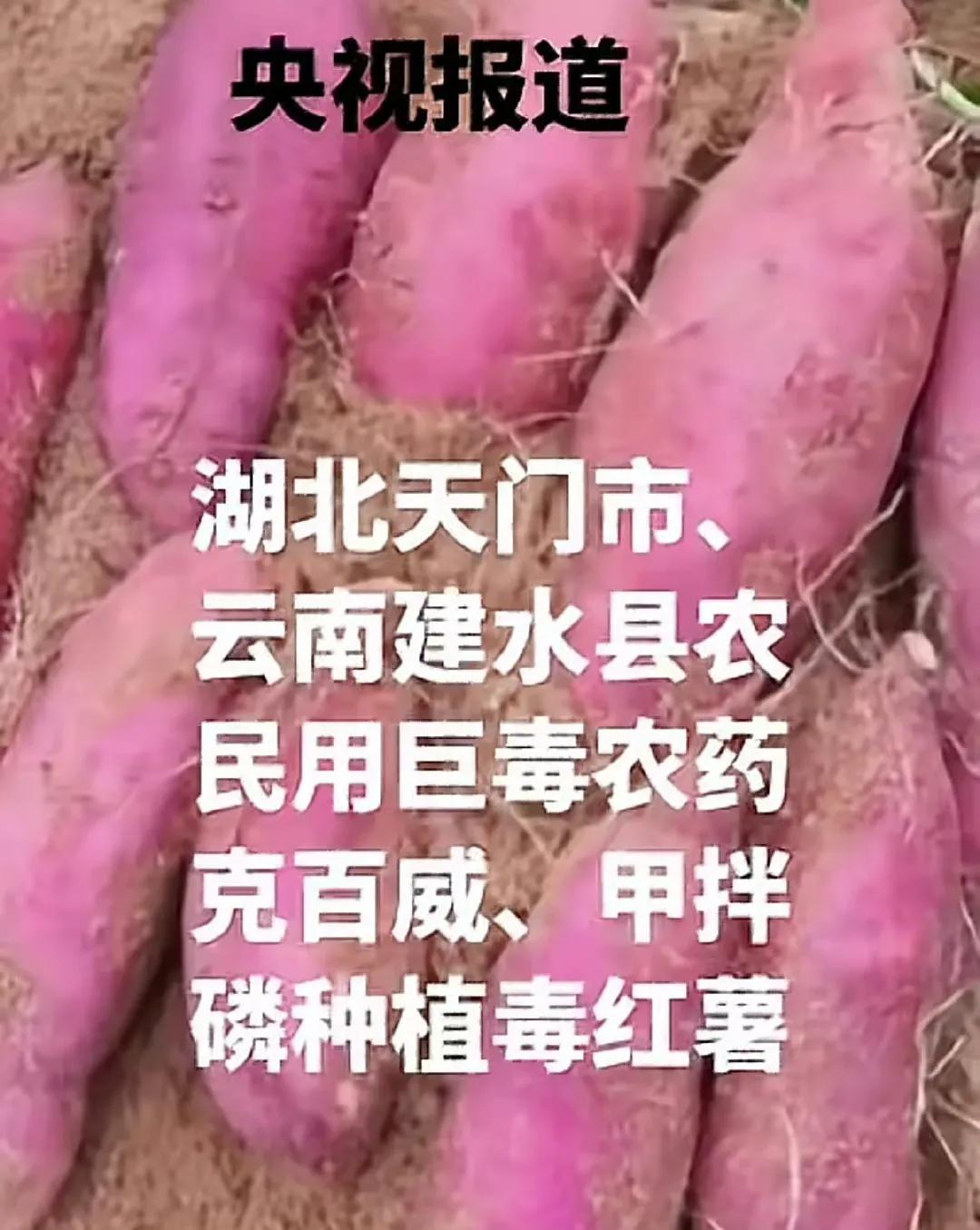 太夸张了！致命毒红薯已流遍20多省！
现在啥啥都有毒......食品安全问题日渐