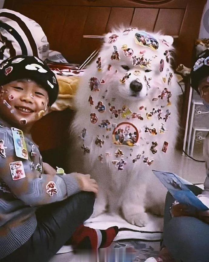 狗狗：谁说小孩可爱的