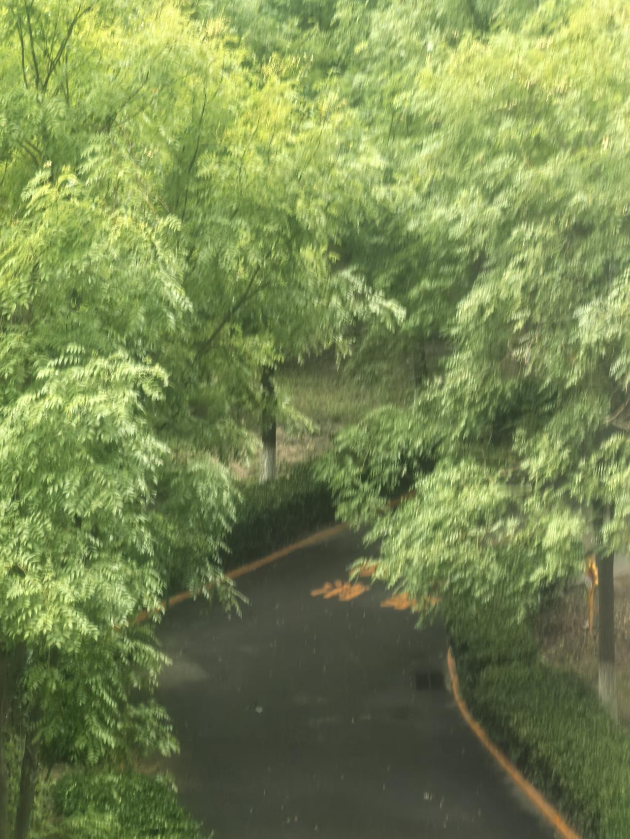 早安的雨
今早的雨
是云拧不干的手帕
滴在窗玻璃上
印出你名字的轮廓

我撑着伞