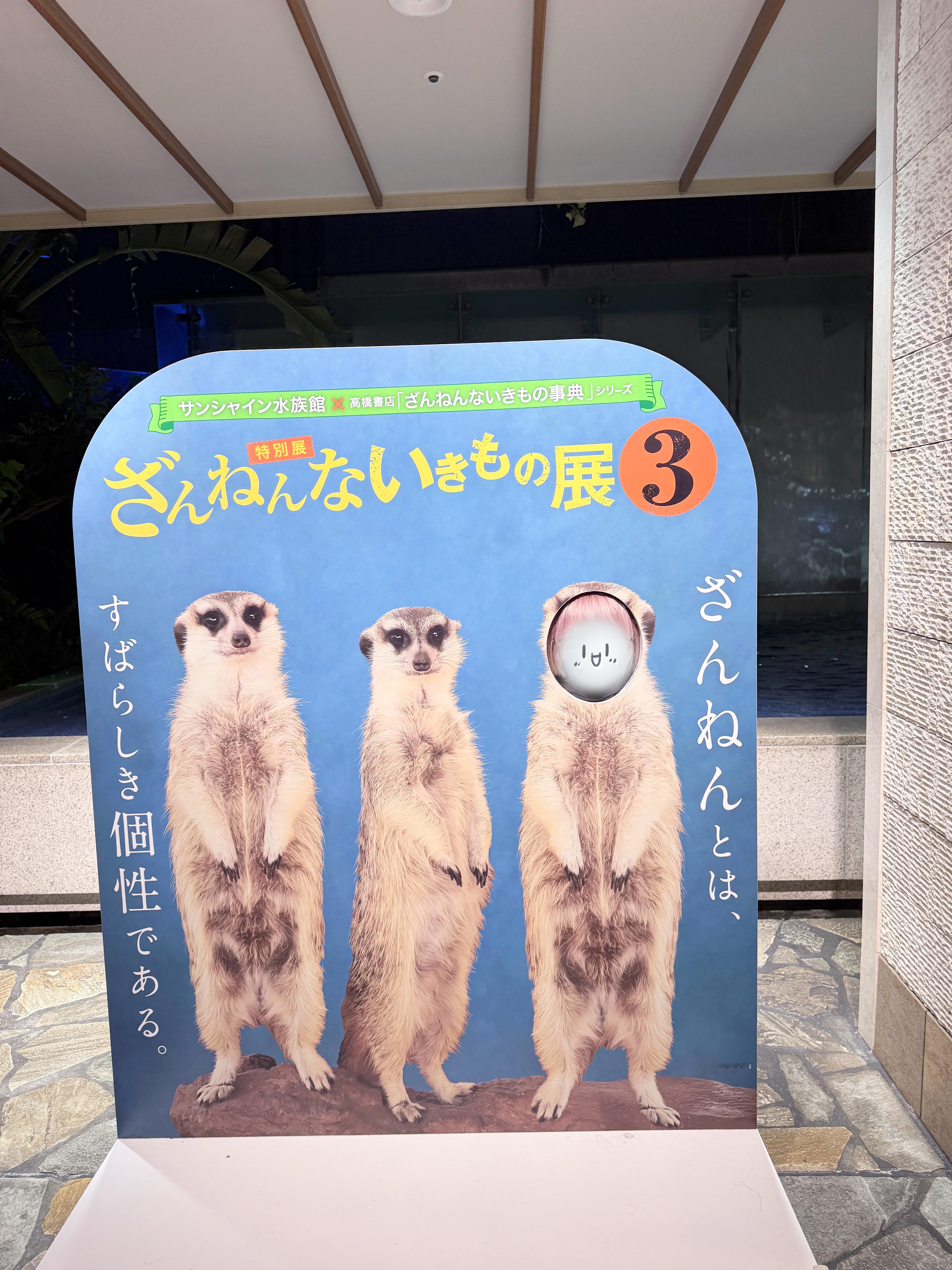派派kazuko派派Kazuko 今天起床感觉没什么不适，而且怕下大雨我们把东迪