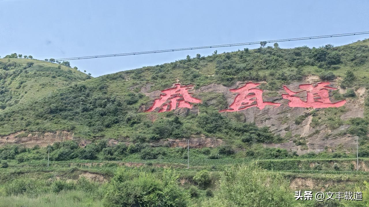 知名品牌的骚操作，已经实质构成了“钻法律、法规漏洞，以达到侵占公共资源、并以市场