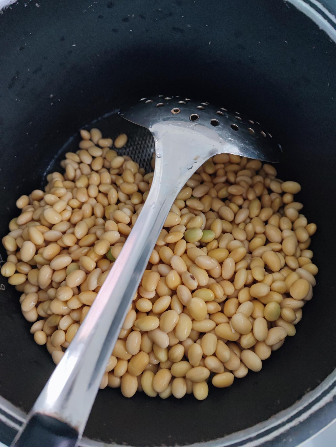 感觉豆腐少，
豆腐渣多。
东北的天冷了，
在家没事自己做豆腐。
在网上学的，
怕