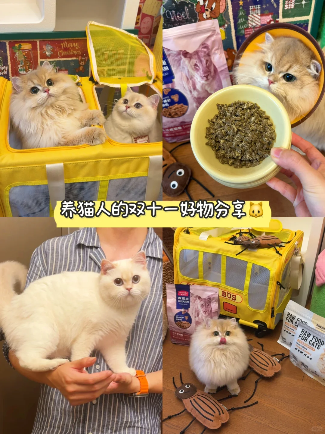双十一好物分享｜双十二最后一波 养猫人快入