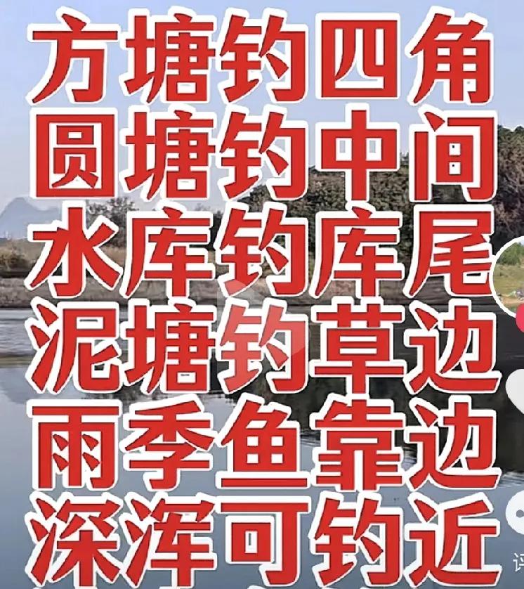 冬末钓鲫鱼有哪些技巧呢?冬末钓鲫鱼，掌握以下技巧可提升渔获：
 
- 选时：冬末