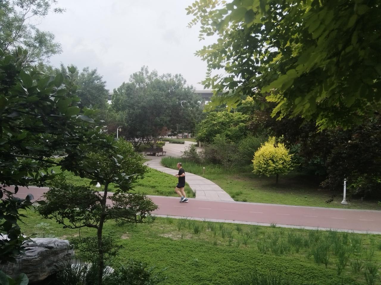 林樾沉沉，幽蹊逶迤，尘声尽远，唯风过木叶而已！

孟子云:山经之蹊，间介然用之而