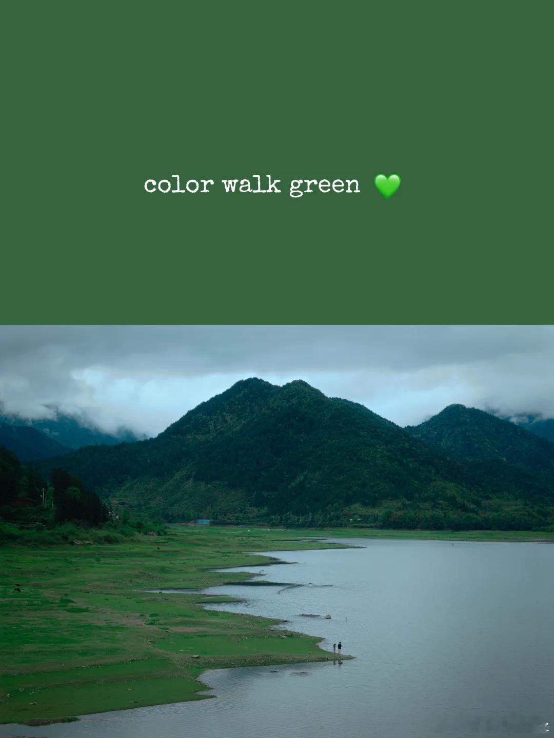 🌿 婺源的绿，原来可以这么温柔！烟雨朦胧的山野间，白墙黛瓦藏在层层叠叠的绿意里