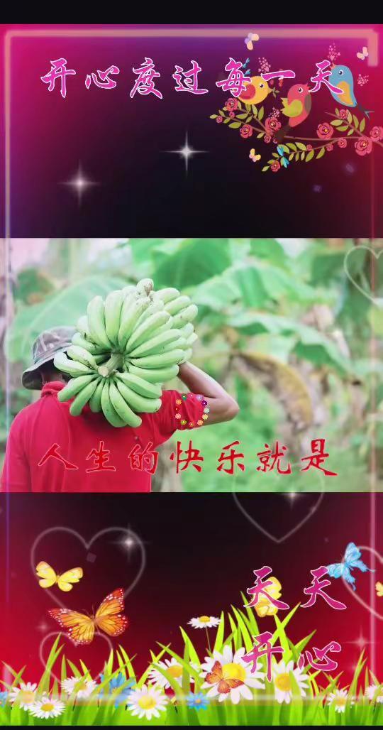 香蕉自由。吃喝玩乐分享计划