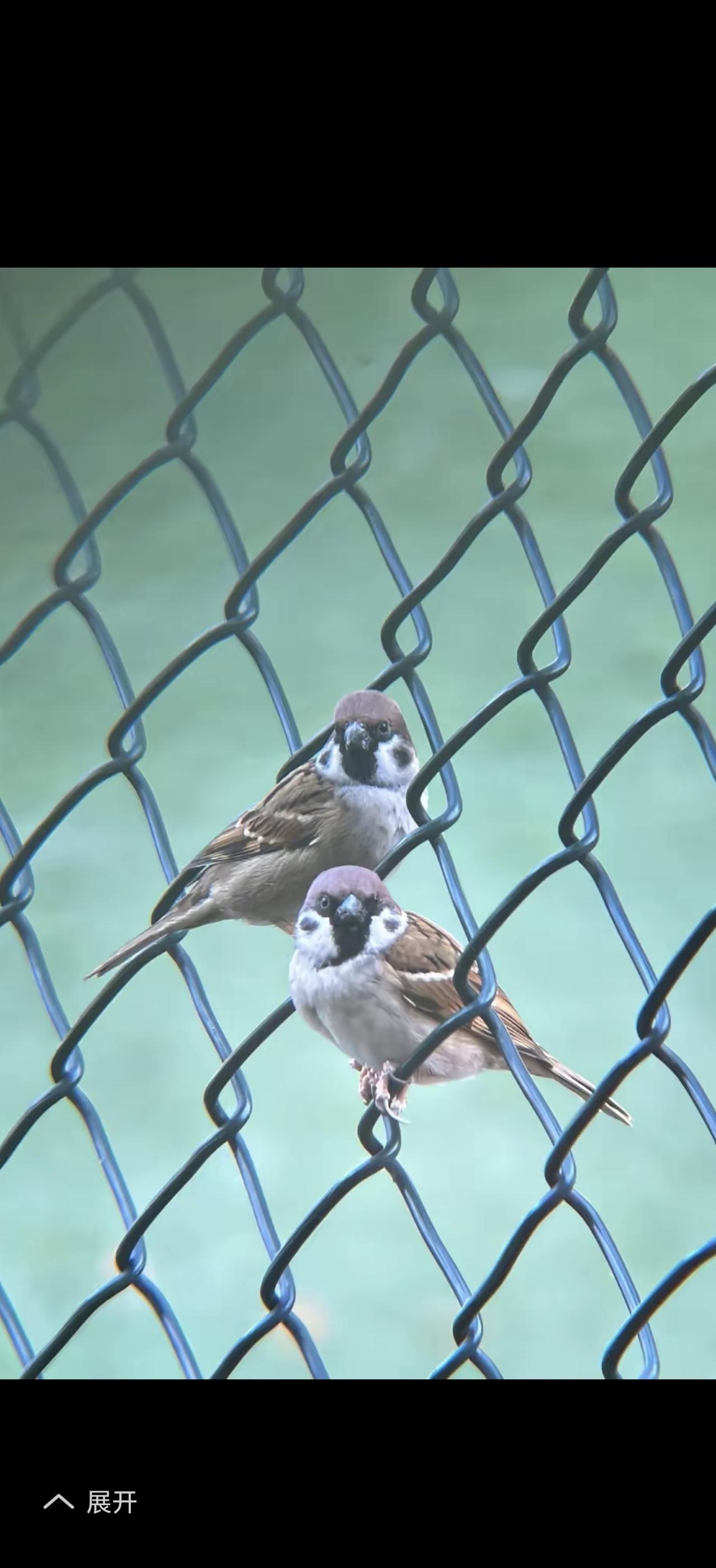 自然美才是真的